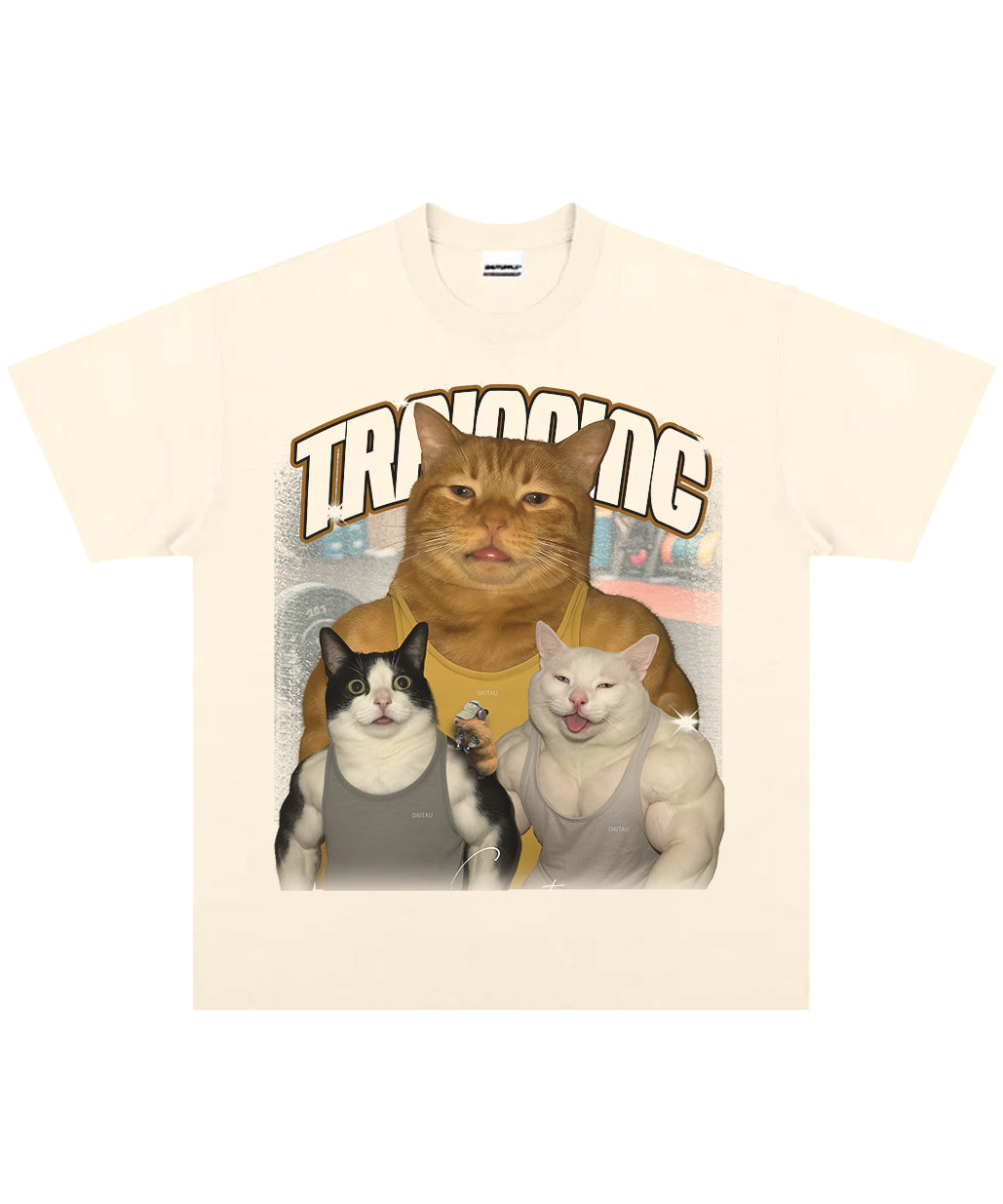 Gym Cat Training Squad Vintage Graphic T-Shirt | Funny Muscle Cats Workout Tee